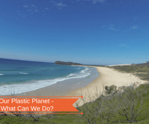 Our Plastic Planet – What Can We Do?