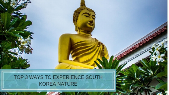 Read more about the article Three Stunning Ways to Experience Nature in South Korea