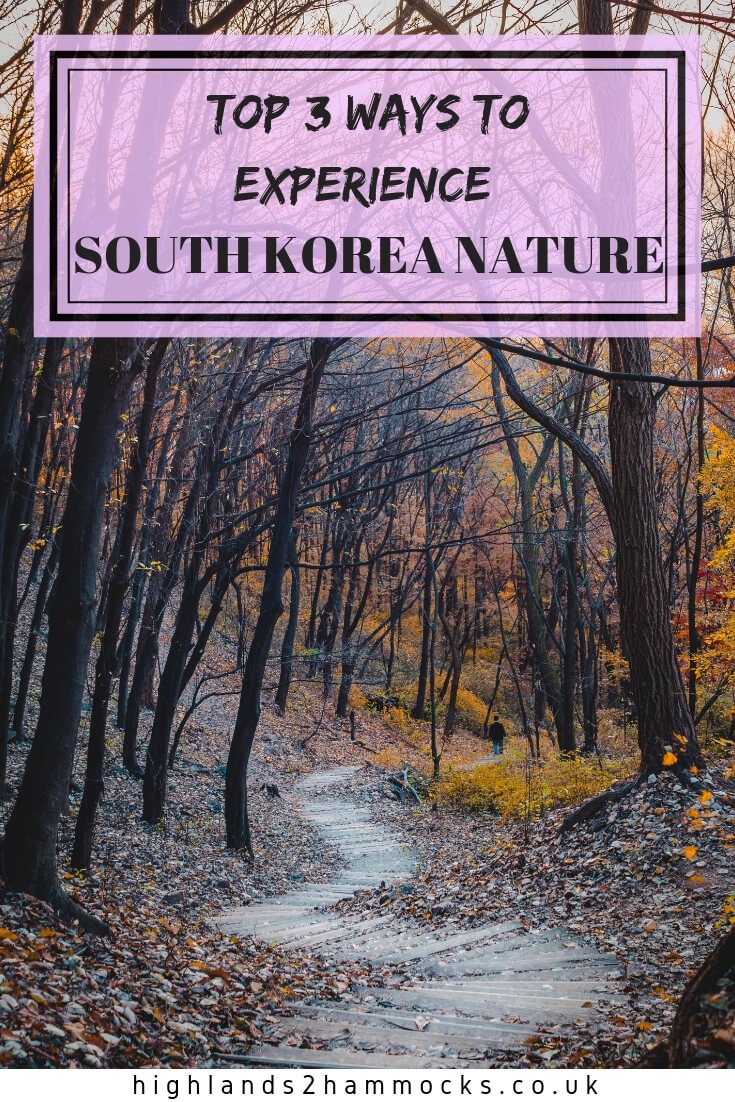 south korea nature pin2