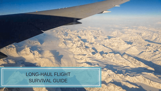 Read more about the article Long-Haul Flight Survival Guide