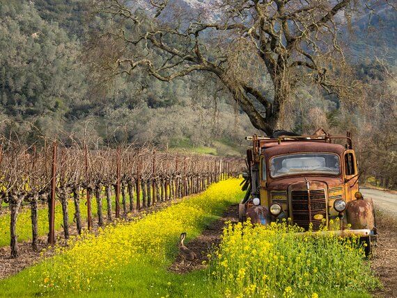 Sonoma County, California