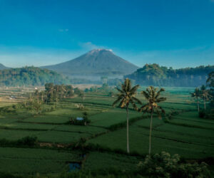 Bukit Cinta, Bali – The Best Place to View Mt Agung