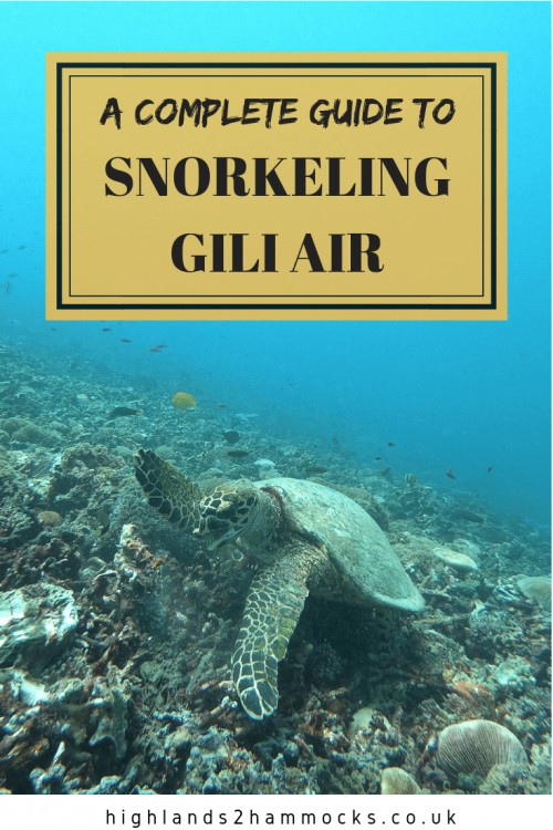 Gili Air turtle