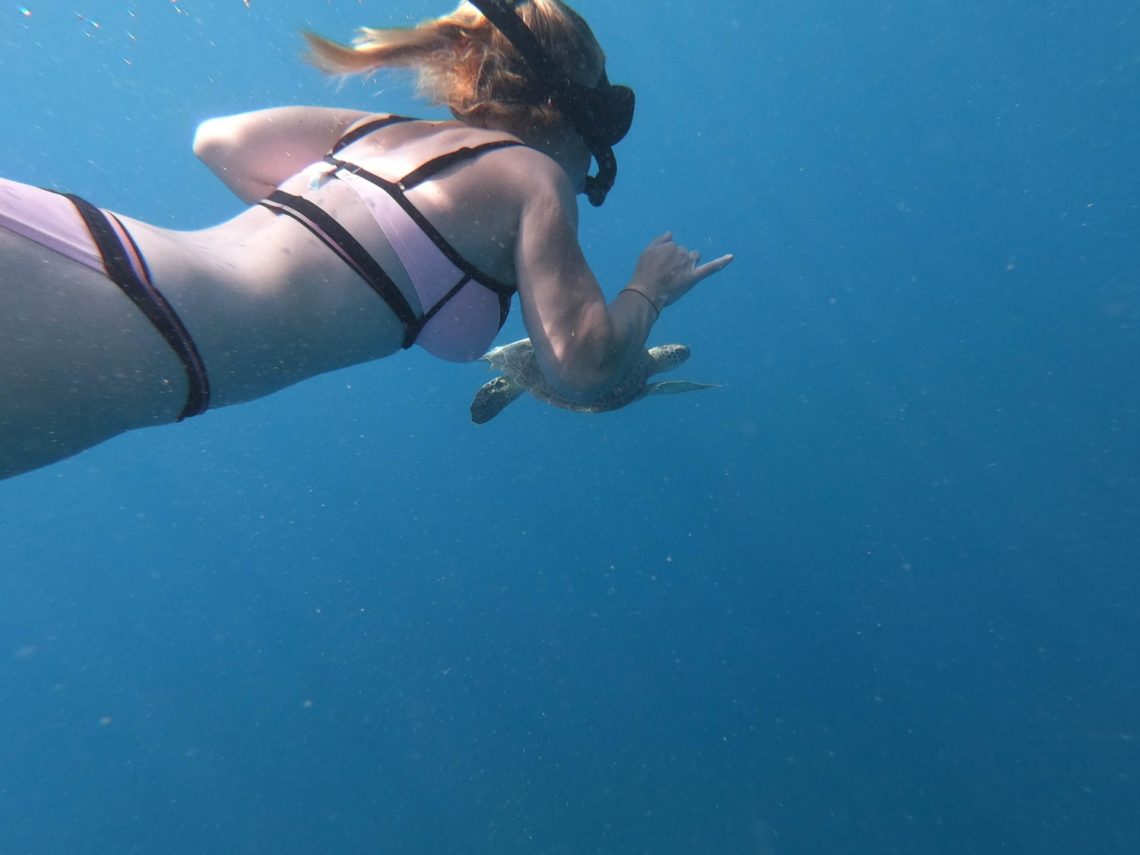 Snorkeling with Gili Air turtles