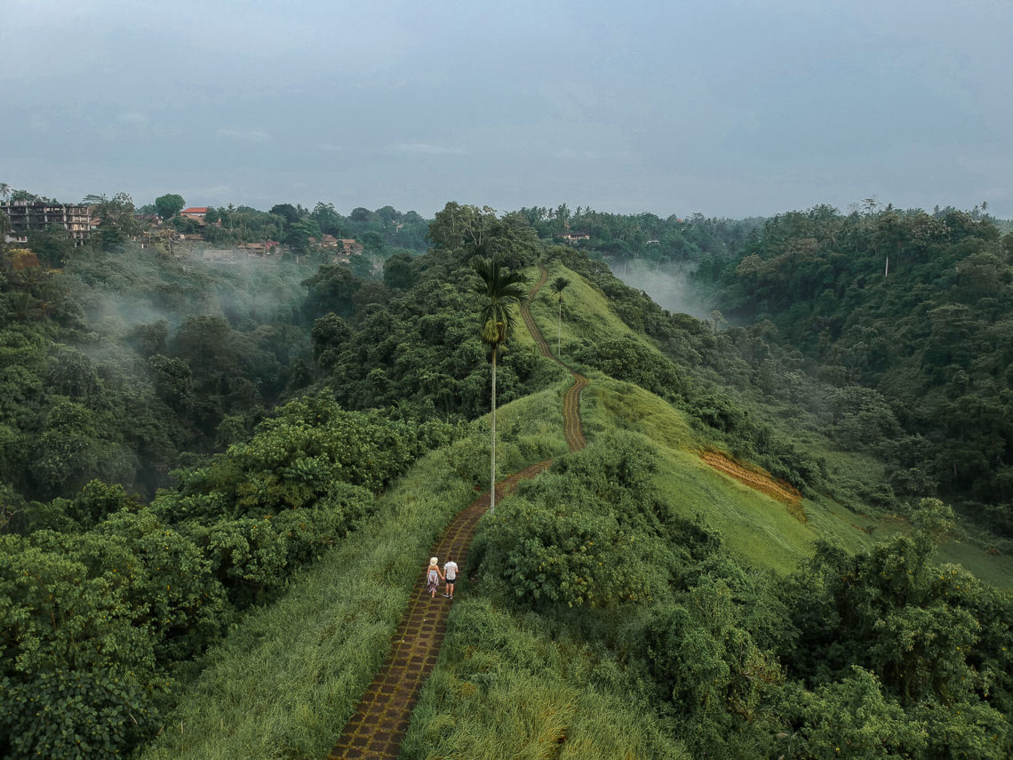 Campuhan ridge walk at sunrise