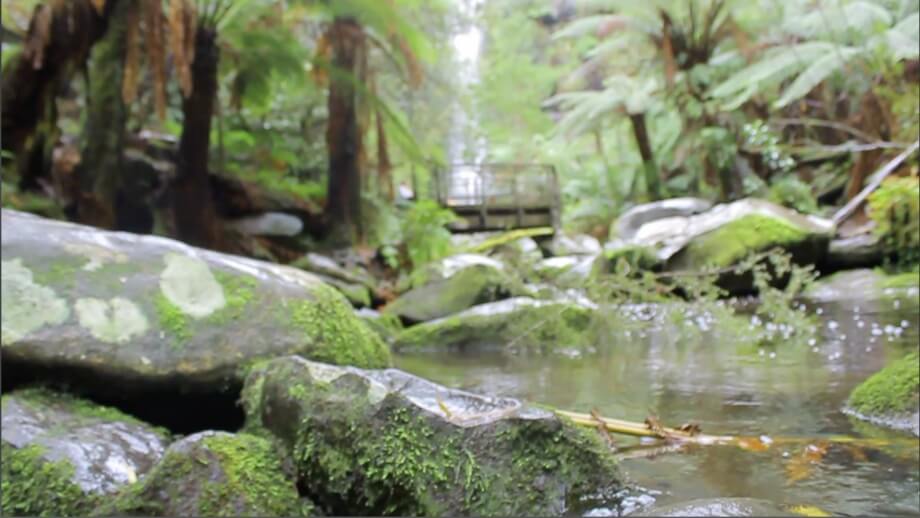 Erskine Falls river