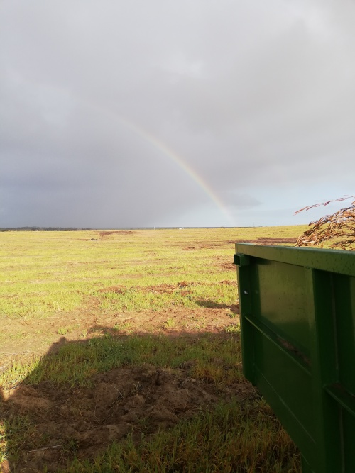 a rainbow over the empty field.