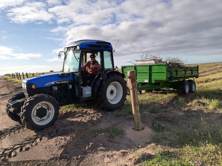 Campbell in a blue tractor pulling a trailer full of sticks