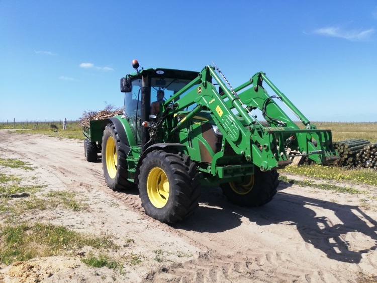 green tractor on an olive farm