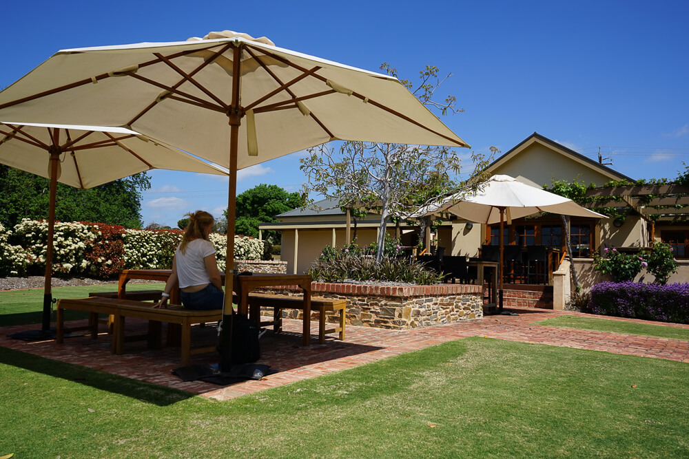 The garden area beside the vineyard