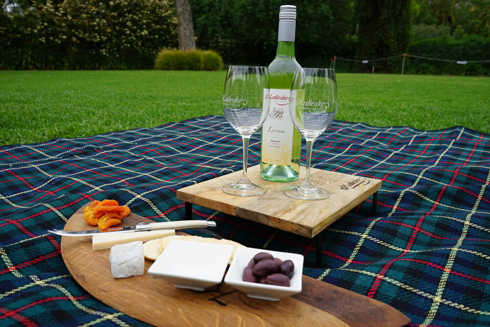 cheese platter and wine on a picnic blanket