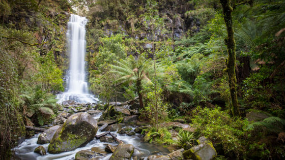 Read more about the article Discover Erskine Falls, Lorne – Secrets of the Great Ocean Road