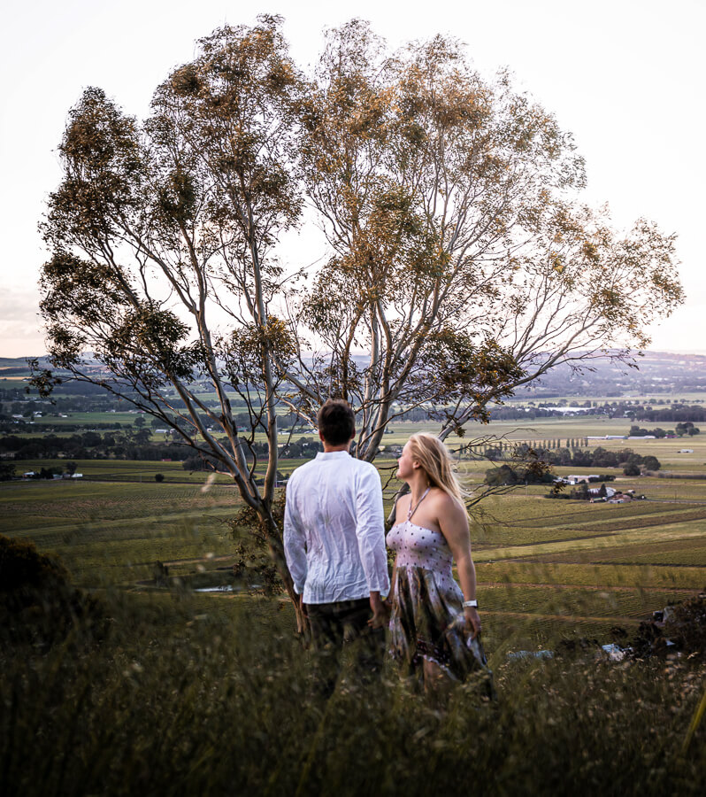 sunset viewpoint from mengler hill over the barossa valley