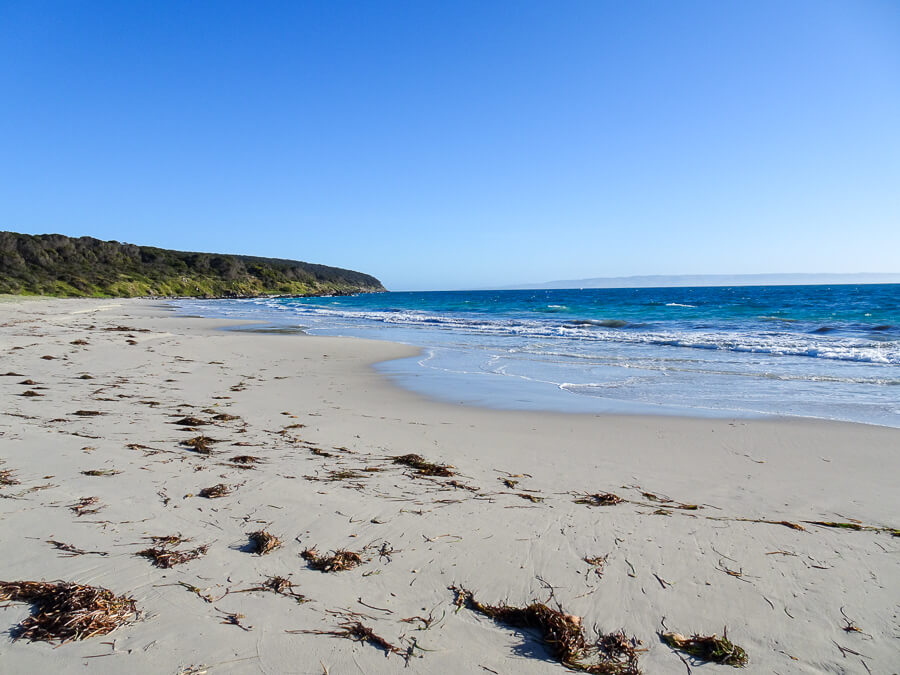 Endless white sands at Antechamber Bay