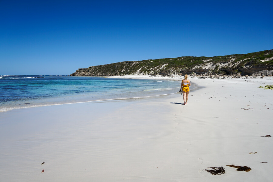 The blue water of Bales Bay.