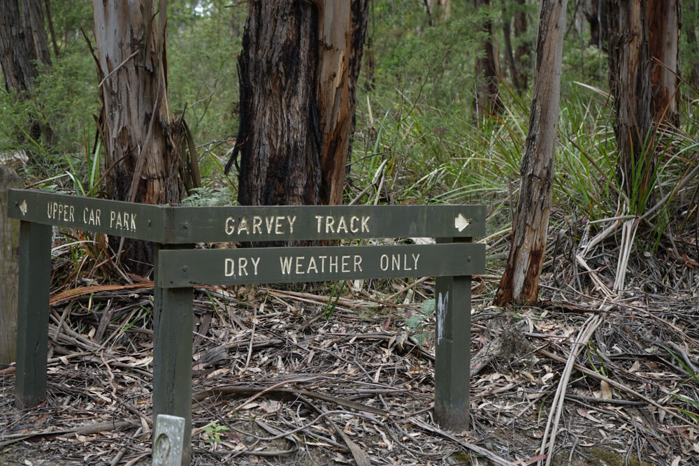 garvey track to kalimna falls