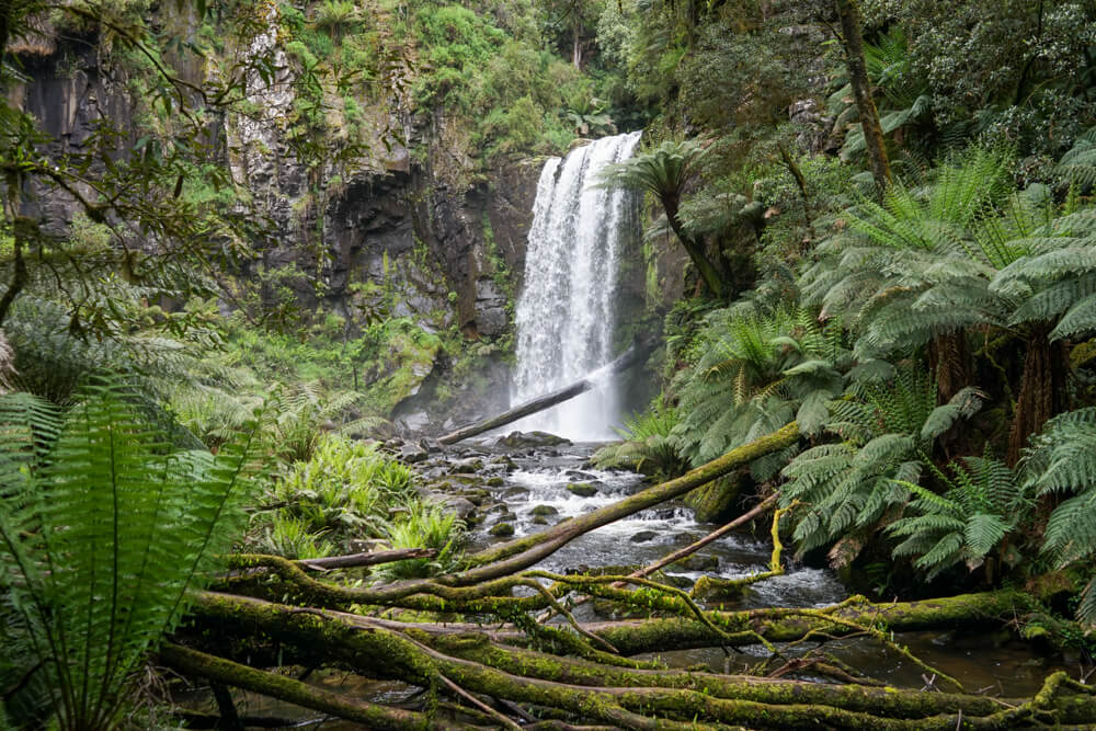 hopetoun falls