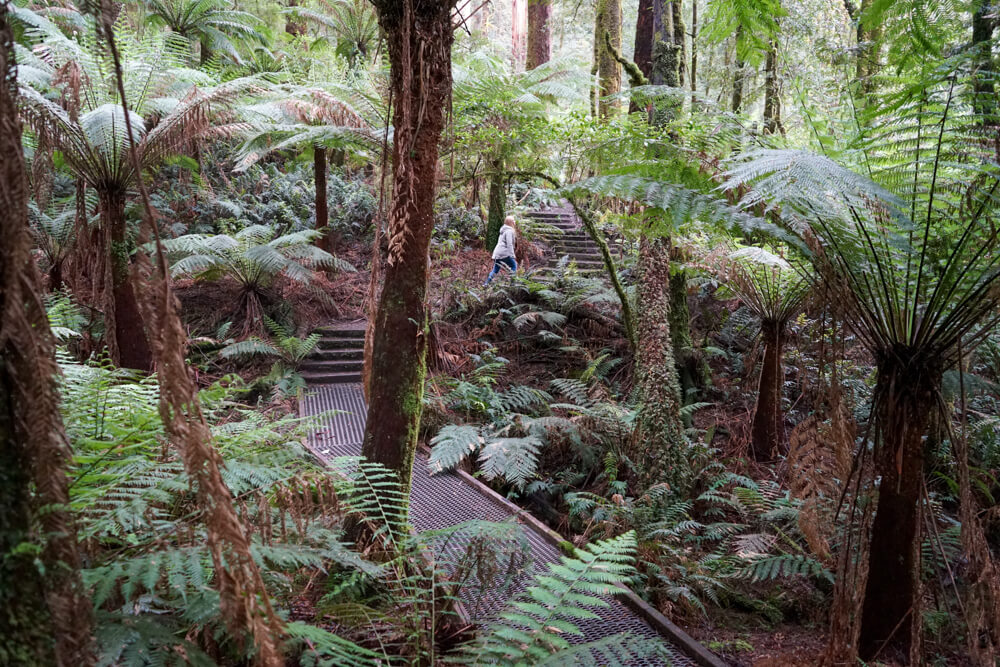 little aire falls boarded walkway