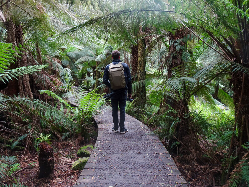 path to hopetoun falls