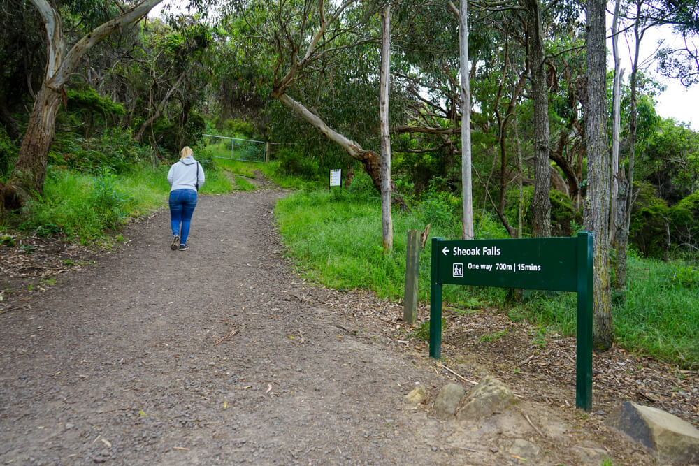 scheoak falls path