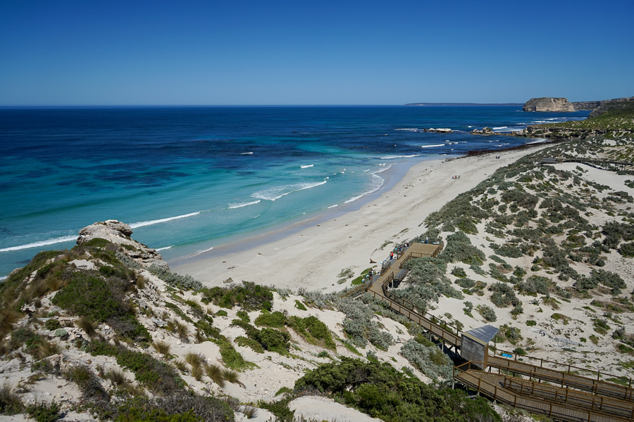 View from the lookout at Seal Bay