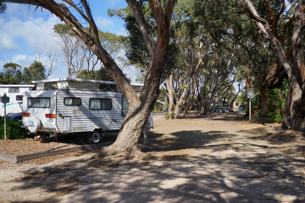 american river campgrounds