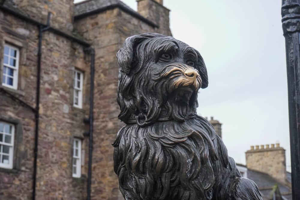 greyfriars bobby