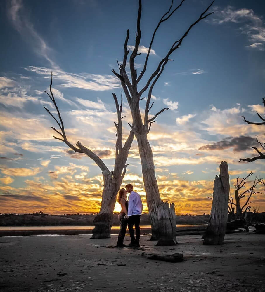 farm work waikerie