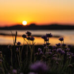Sunset in Guernsey – Best Places to Watch the Sunset
