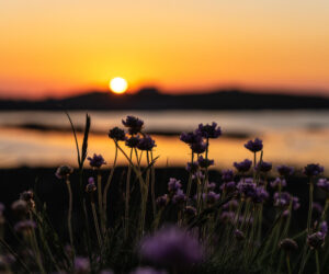 Sunset in Guernsey – Best Places to Watch the Sunset