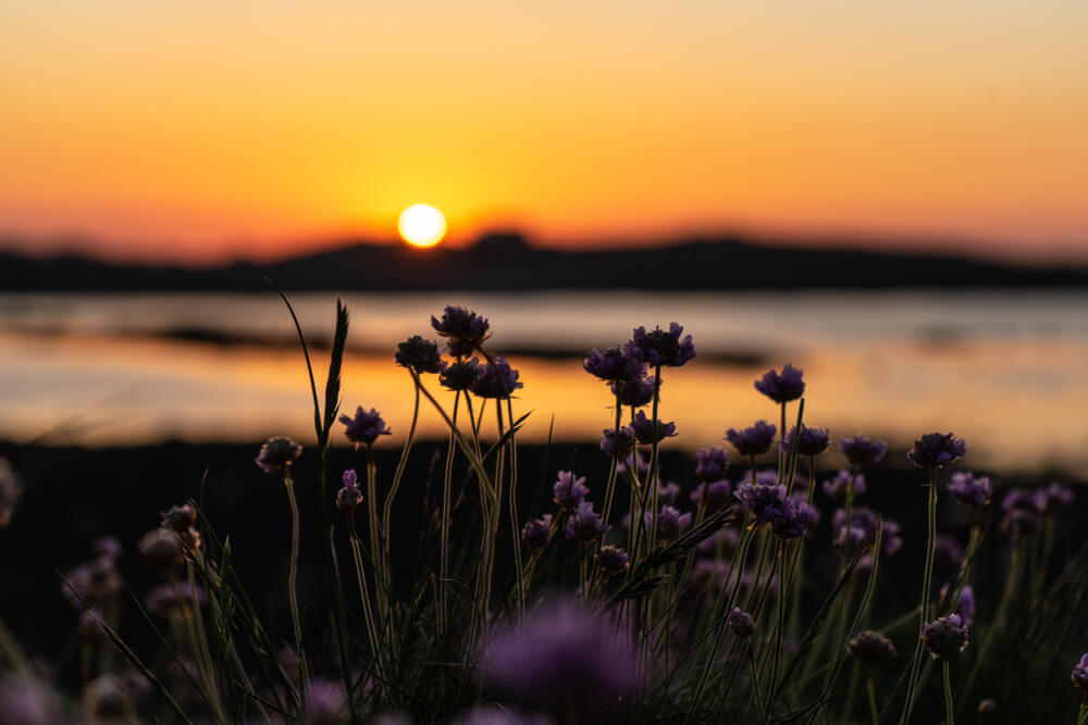 Read more about the article Sunset in Guernsey – Best Places to Watch the Sunset