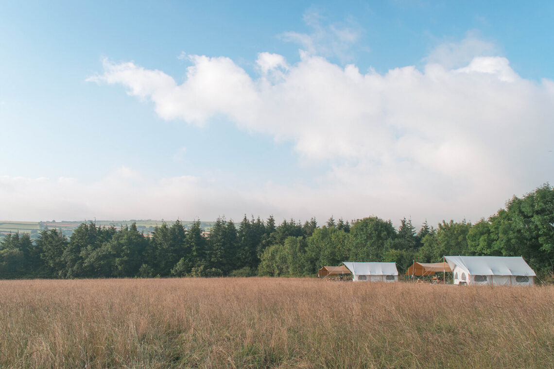 top of the woods campsite