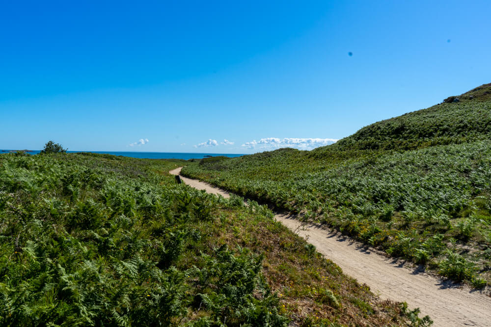 sandy path on herm