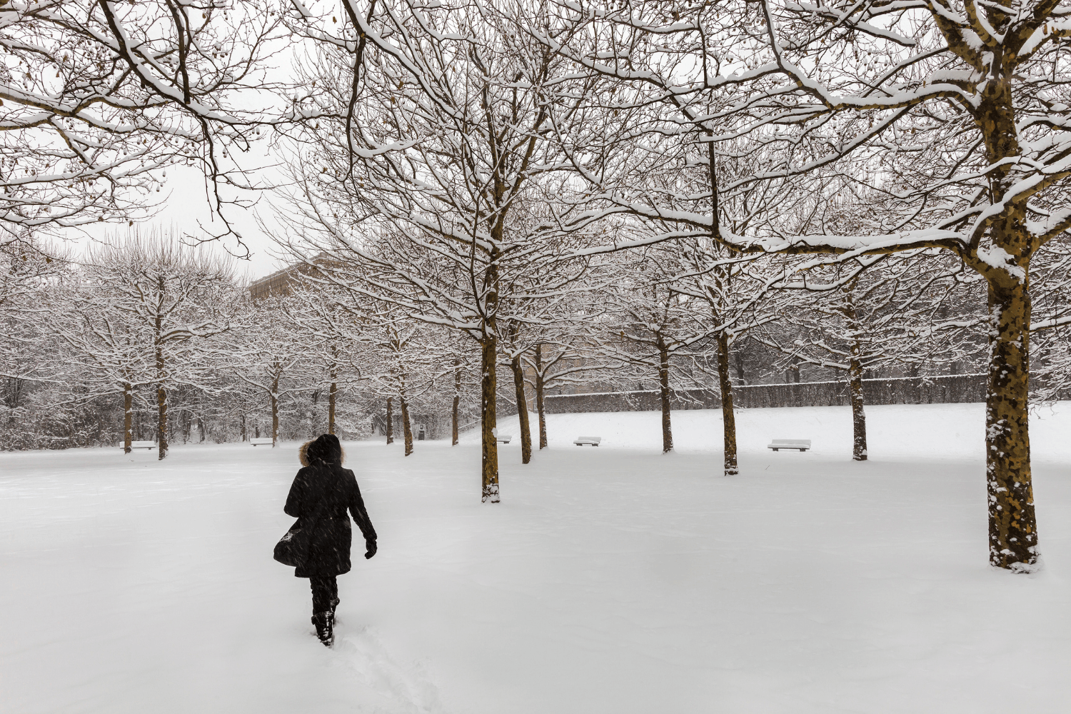 person walking through snowy park in munich