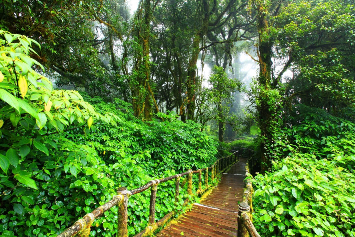 Doi Inthanon National Park2