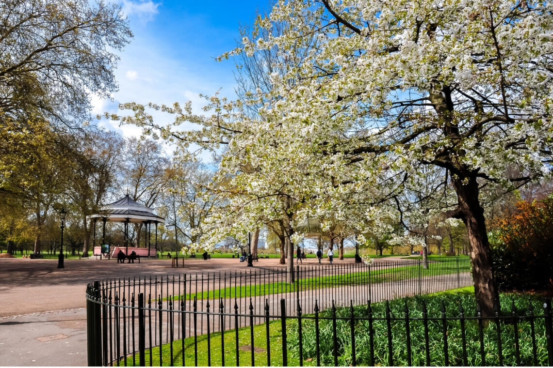 Stroll through the beautiful blossom of the trees in Spring and Summer in Hyde Park.