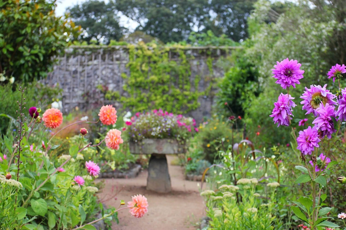 Two Day Itinerary to Sark Island - The Channel Island's Darkest Skies ...