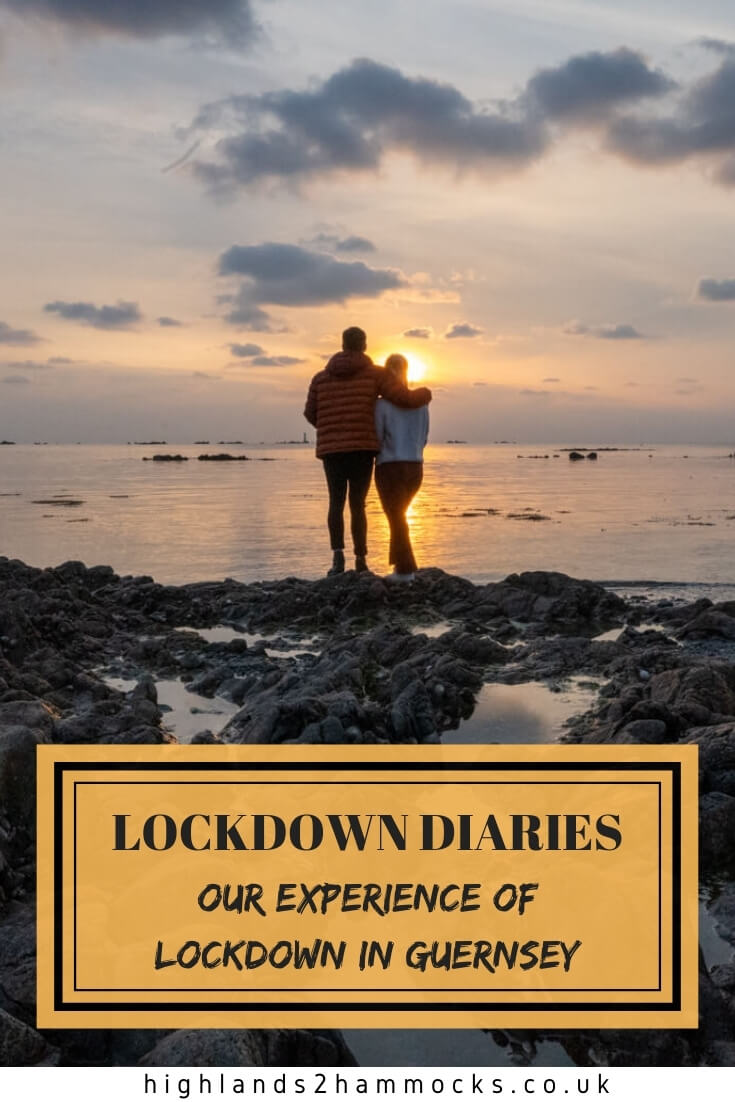 lockdown diaries pin 