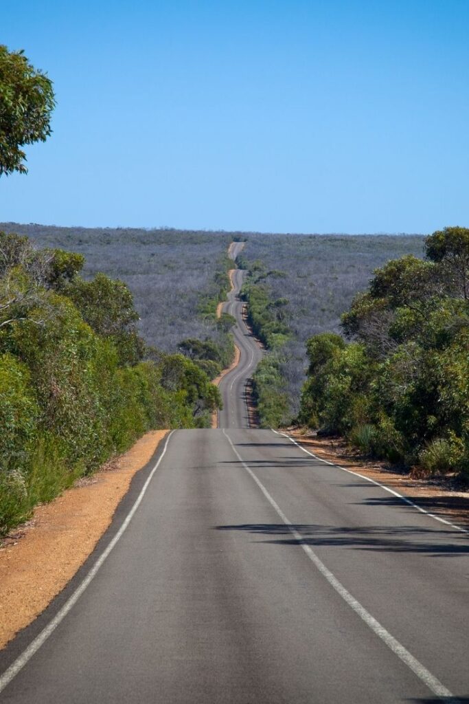 winding road in kangaroo island