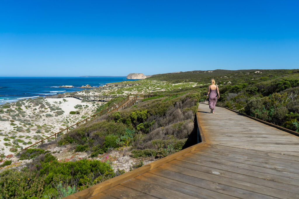 gemma walking on seal bay board walk