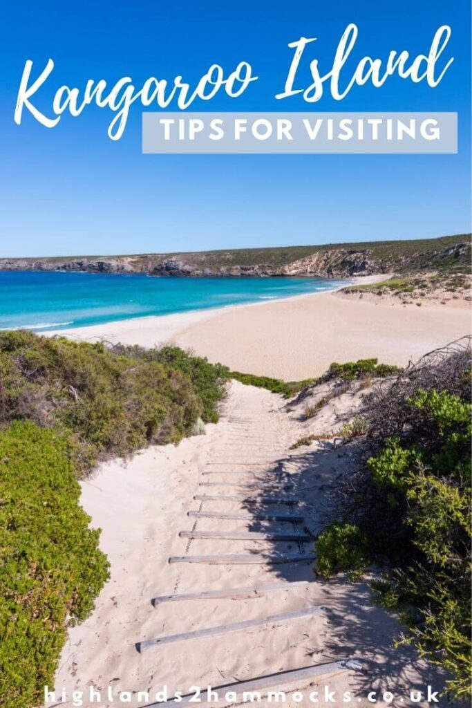 tips for visiting Kangaroo island pinterest image