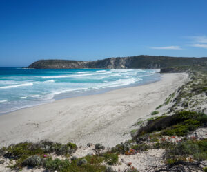 Kangaroo Island 2 Day Itinerary – The Best Way to Spend 2 Days in Paradise