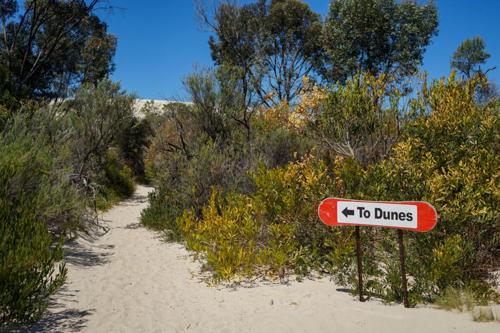 little sahara signpost to the dunes