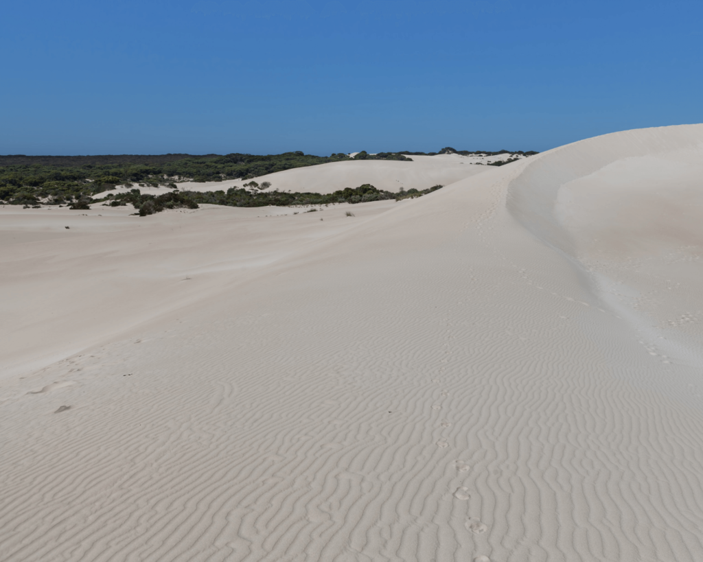 Little Sahara Sand Dunes