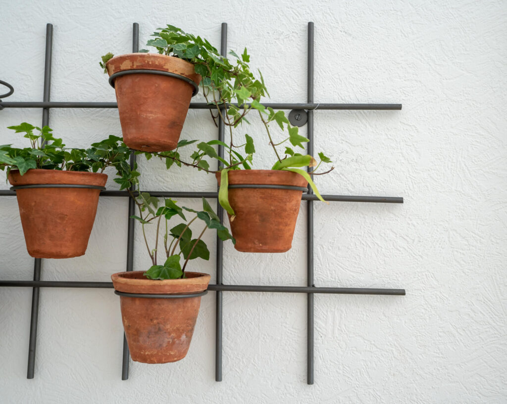 plants on the wall