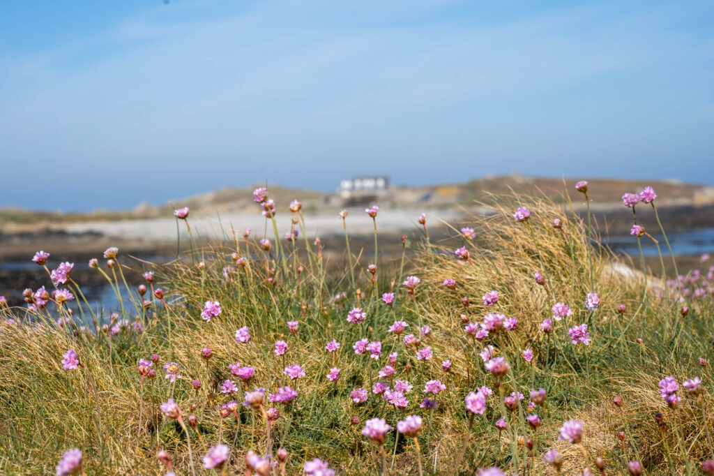 lihou island