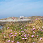 Lihou Island Guernsey – Why Should You Visit?