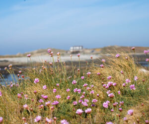 Lihou Island Guernsey – Why Should You Visit?
