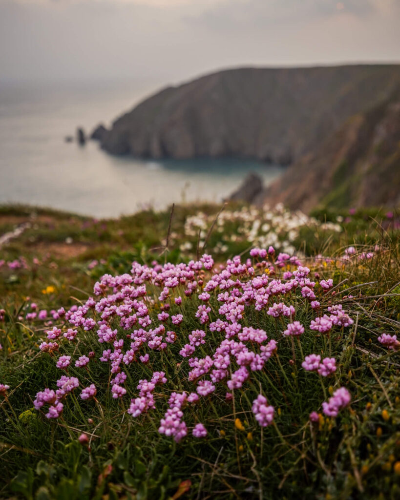 telegraph bay alderney