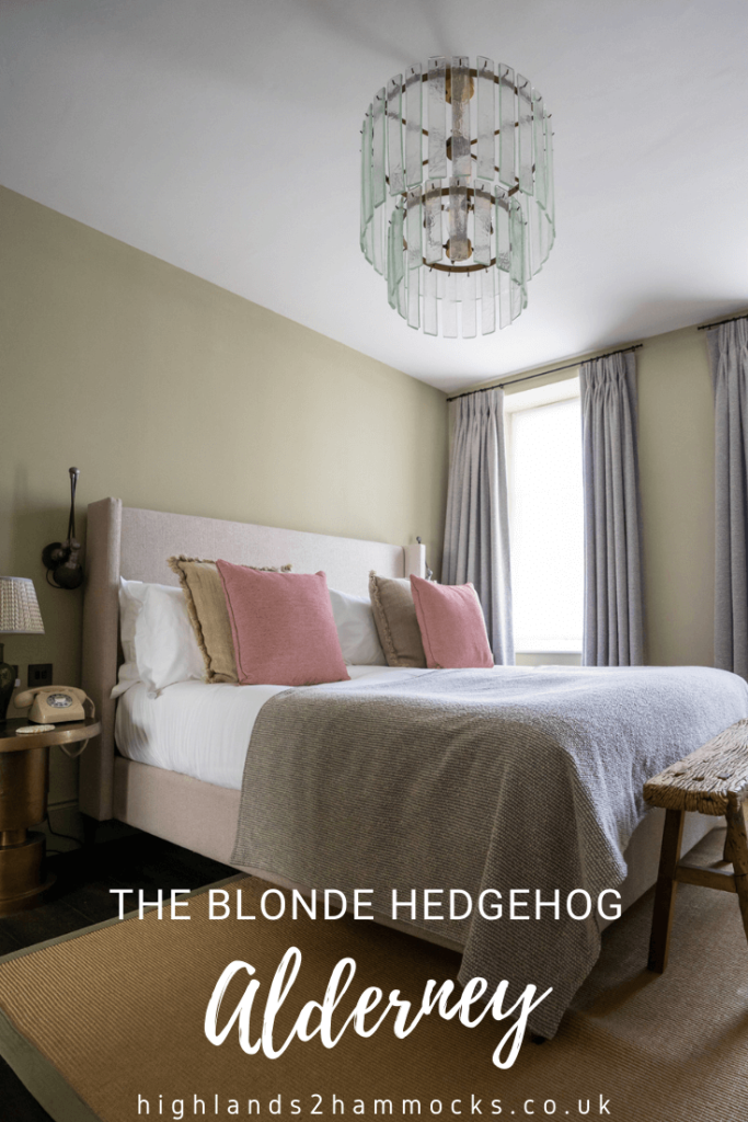 the blonde hedgehog pin
